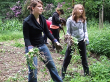 ZNA Middelheim is actief in het park